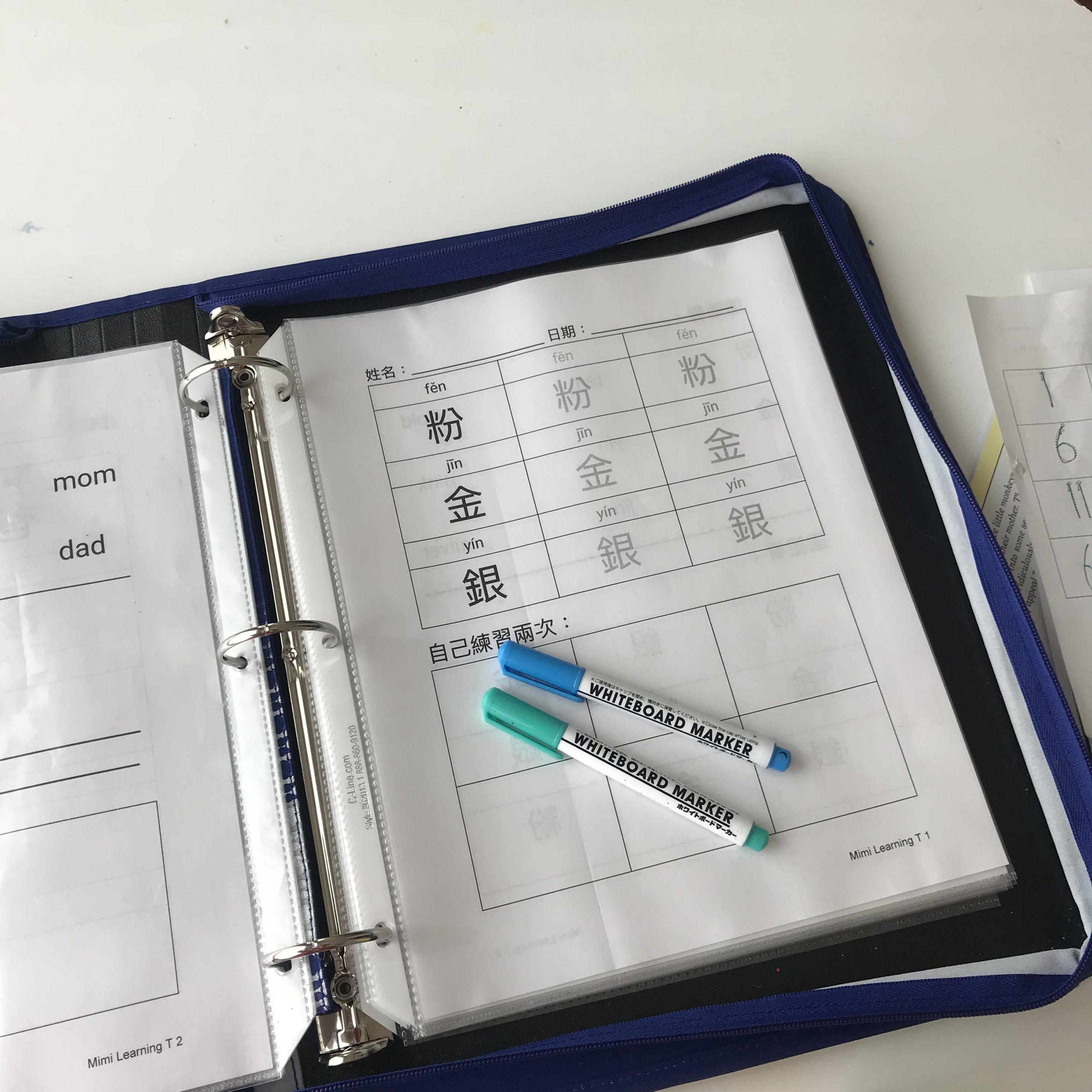 Chinese character worksheets in binder