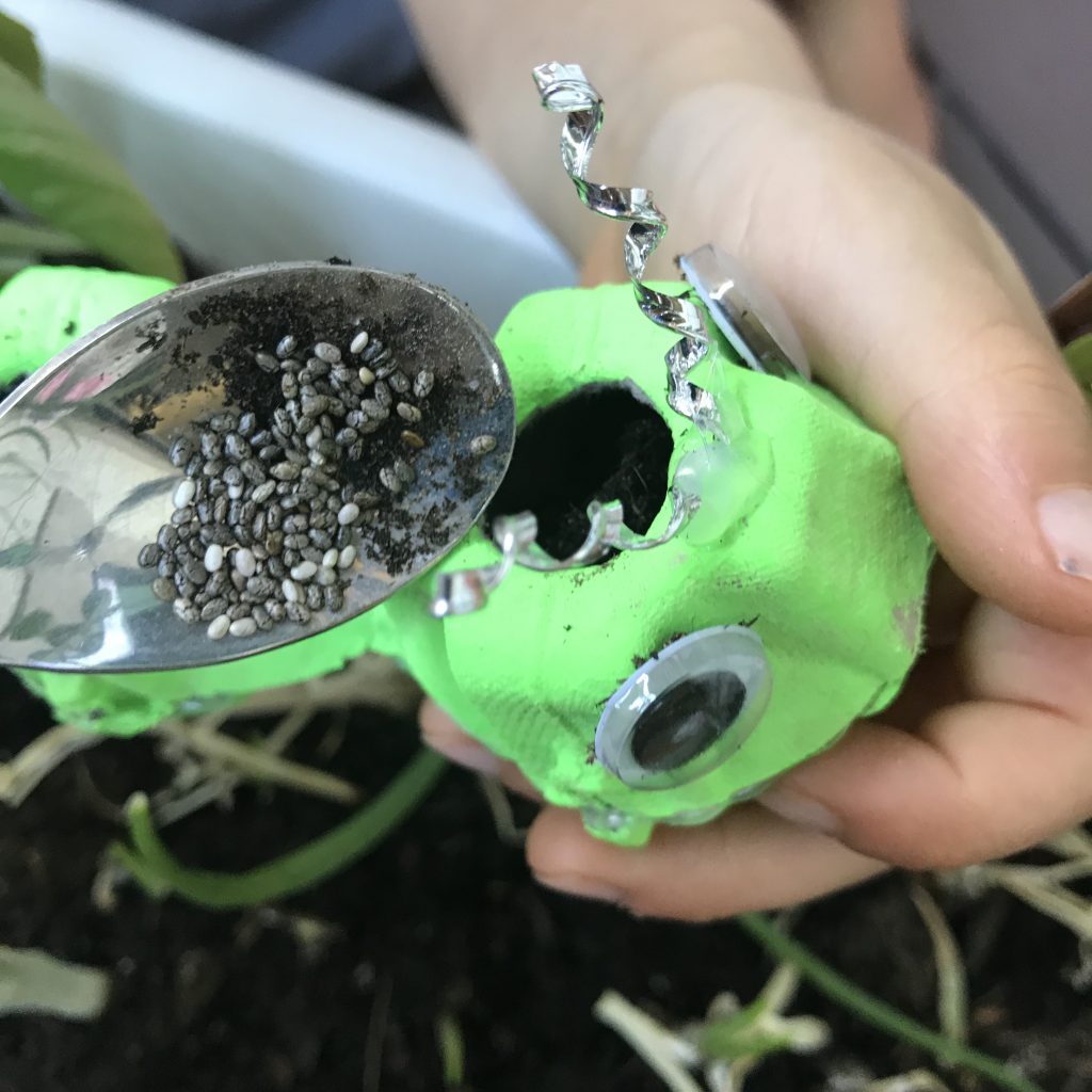 Filling caterpillar with seeds