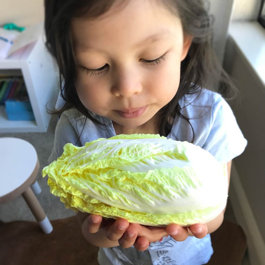 girl holding Napa cabbage